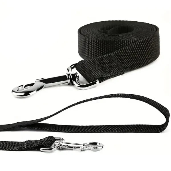 Stop Struggling on Dog Walks — This Changes Everything